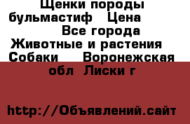 Щенки породы бульмастиф › Цена ­ 25 000 - Все города Животные и растения » Собаки   . Воронежская обл.,Лиски г.